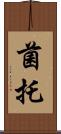 菌托 Scroll