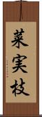 菜実枝 Scroll