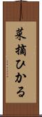 菜摘ひかる Scroll