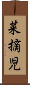 菜摘児 Scroll