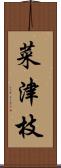 菜津枝 Scroll