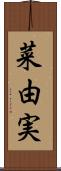 菜由実 Scroll