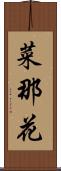 菜那花 Scroll