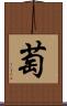 萄 Scroll