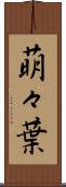 萌々葉 Scroll