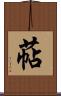 萜 Scroll