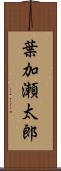 葉加瀬太郎 Scroll