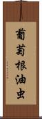 葡萄根油虫 Scroll