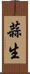 蒜生 Scroll