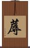 蓐 Scroll