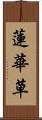 蓮華草 Scroll