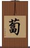 蔔 Scroll