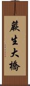 蕨生大橋 Scroll