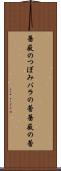 薔薇のつぼみ Scroll
