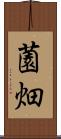 薗畑 Scroll