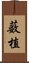 薮植 Scroll