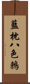 藍枕八色鶇 Scroll