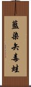 藍染矢毒蛙 Scroll