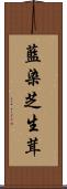 藍染芝生茸 Scroll