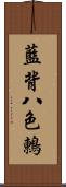 藍背八色鶇 Scroll