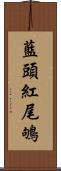 藍頭紅尾鴝 Scroll