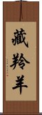 藏羚羊 Scroll