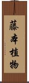 藤本植物 Scroll