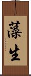 藻生 Scroll