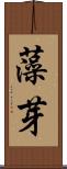 藻芽 Scroll