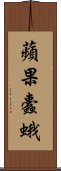 蘋果蠹蛾 Scroll