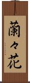 蘭々花 Scroll