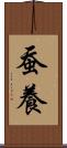 蚕養 Scroll