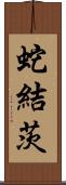 蛇結茨 Scroll