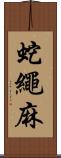 蛇繩麻 Scroll