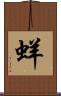 蛘 Scroll
