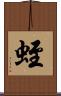 蛭 Scroll