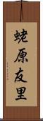 蛯原友里 Scroll