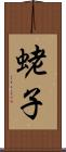 蛯子 Scroll
