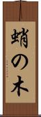 蛸の木 Scroll