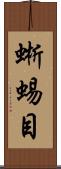 蜥蜴目 Scroll