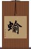 蝓 Scroll