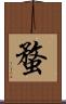 蝥 Scroll