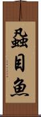 蝨目魚 Scroll