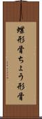 蝶形骨 Scroll