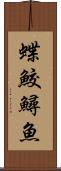 蝶鮫 Scroll