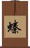 螓 Scroll