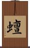 蟺 Scroll