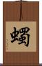 蠋 Scroll