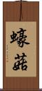 蠔菇 Scroll
