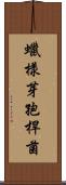 蠟樣芽孢桿菌 Scroll